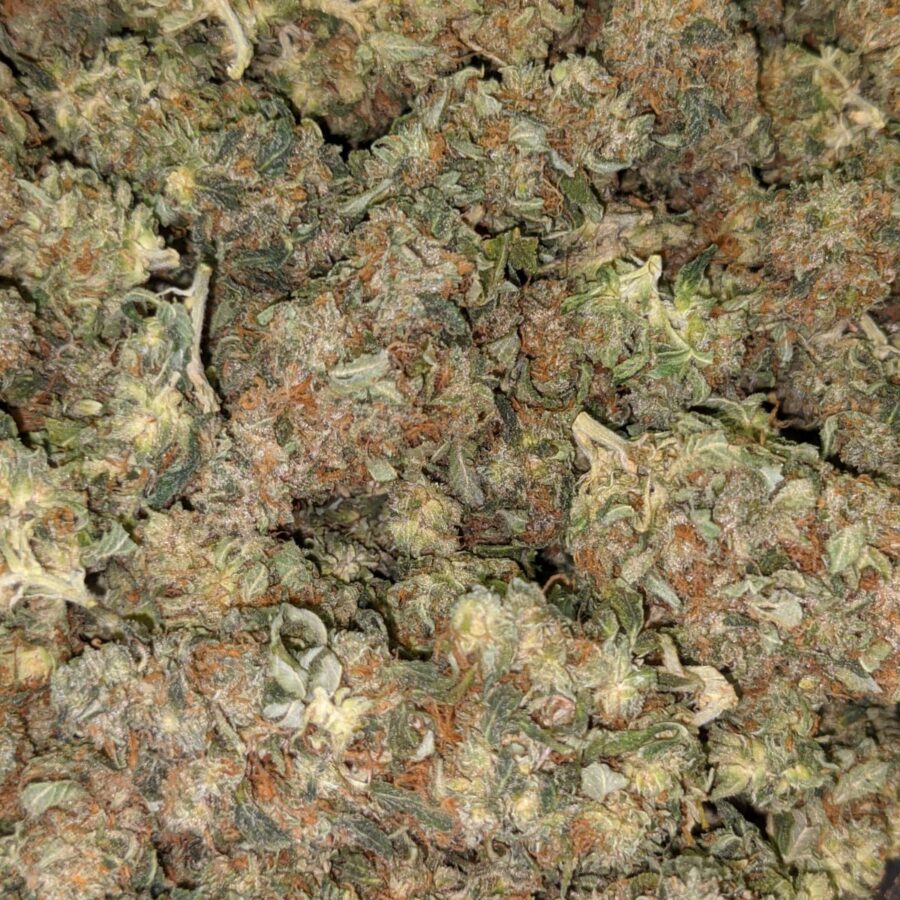 HINDU KUSH 4 I $69 Oz - Hindu Kush