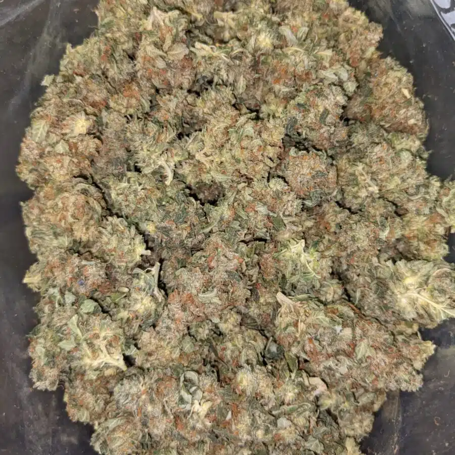 HINDU KUSH 5 I $69 Oz - Hindu Kush
