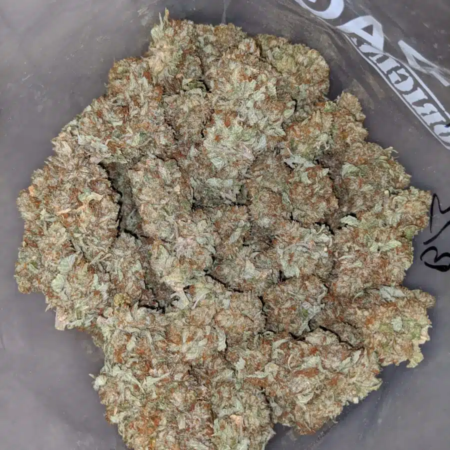 JEDI KUSH BS 1 I Jedi Kush - *Deal of the Day*