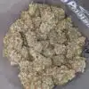 Jedi Kush - *Deal of the Day*