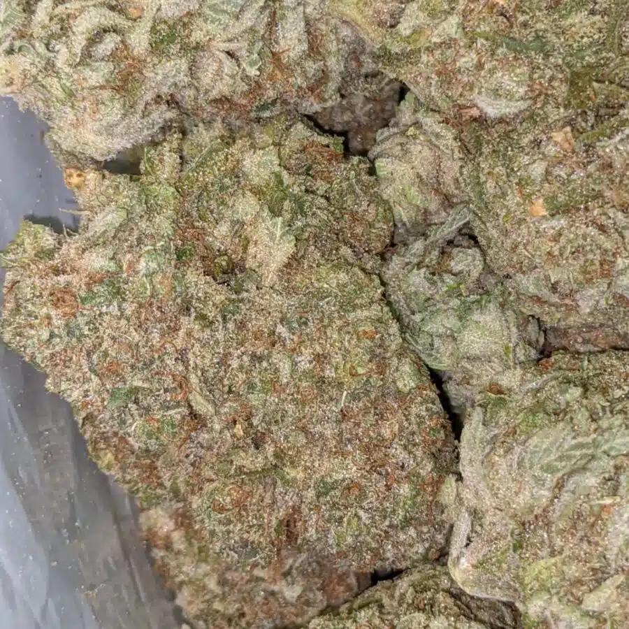 LARRY OG 5 1 I Larry OG AAA