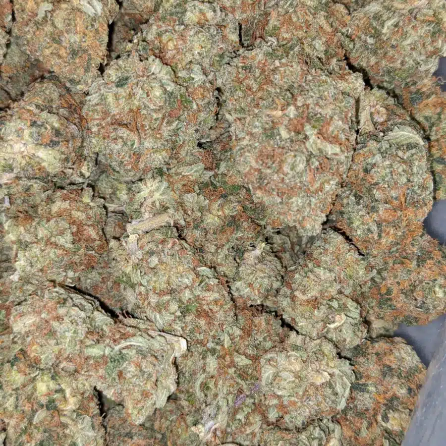 LEMON MERINGUE DOD 2 I $6149 Oz - Lemon Meringue