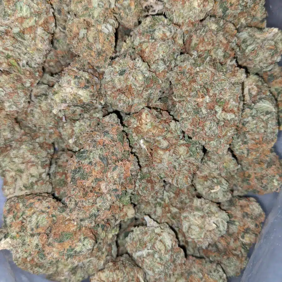 LEMON MERINGUE DOD 3 I $6149 Oz - Lemon Meringue