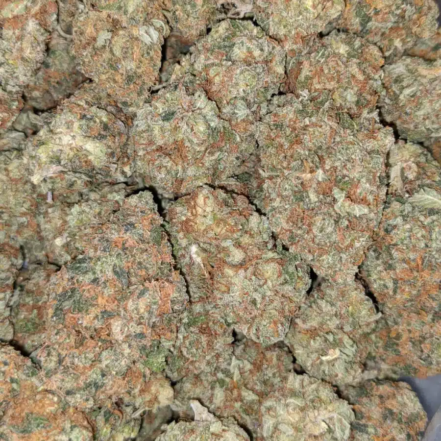 LEMON MERINGUE DOD 5 I $6149 Oz - Lemon Meringue