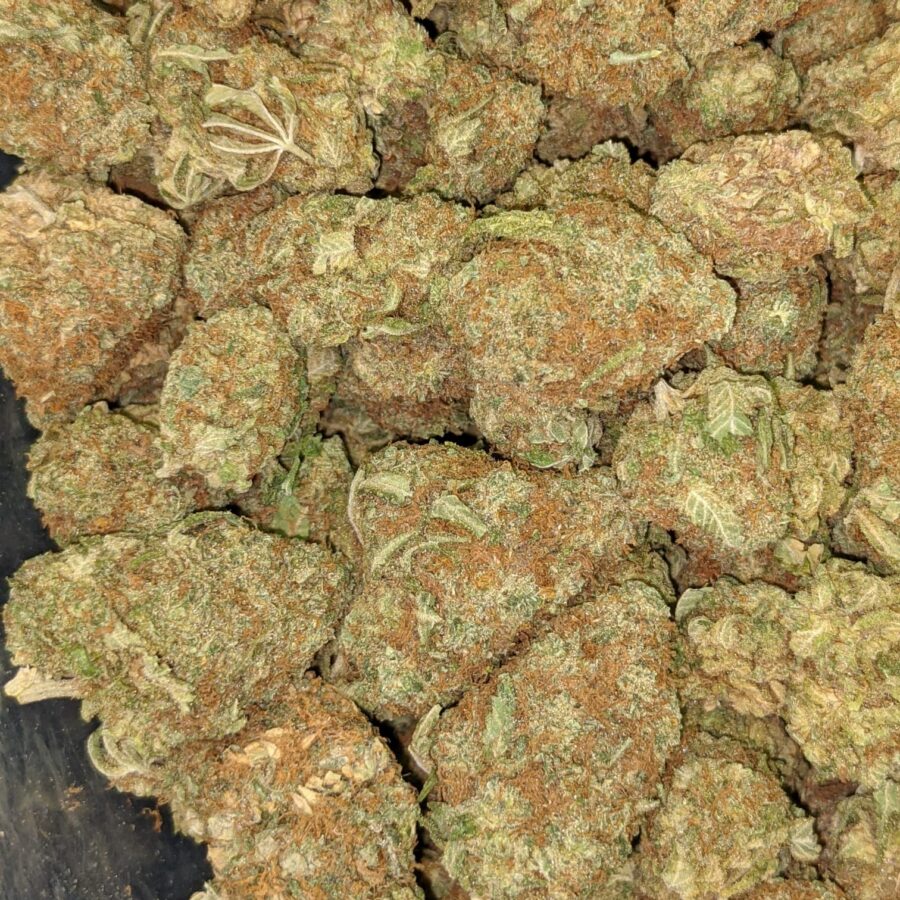LEMON PIE AA 2 I $89 Oz - Lemon Pie