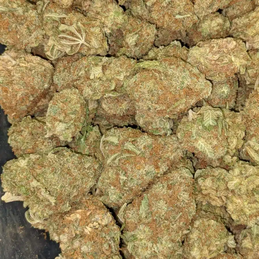 LEMON PIE AA 2 I $89 Oz - Lemon Pie