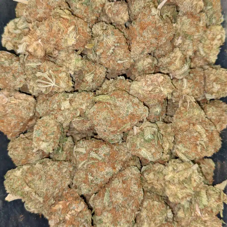 LEMON PIE AA 3 I $89 Oz - Lemon Pie