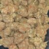 $89 Oz - Lemon Pie