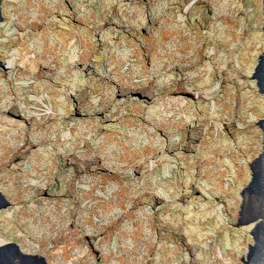 $89 Oz - Lemon Pie