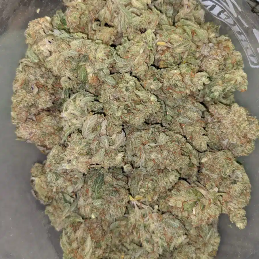 LOVE POTION 3 I $69 Oz - Love Potion