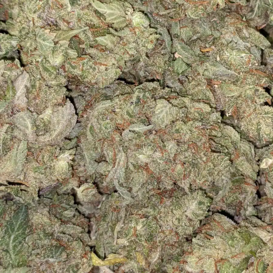 LOVE POTION 4 I $69 Oz - Love Potion