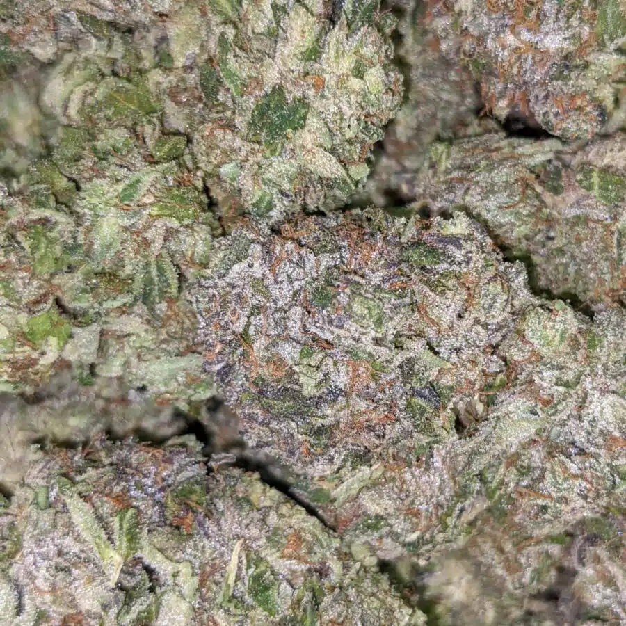LSD 1 I LSD 27.19% THC