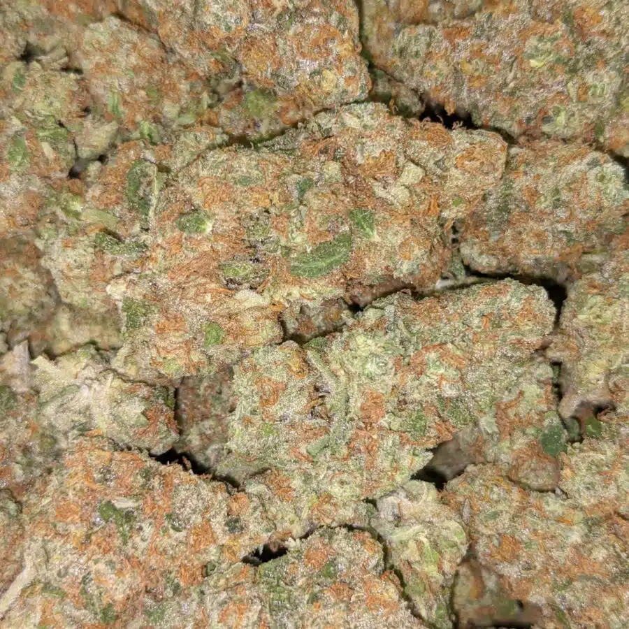LSD 6 I LSD 27.19% THC