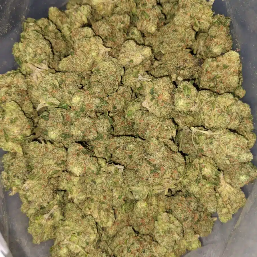 ORANGE COOKIE SMLL 4 I $119 Oz - Orange Cookies