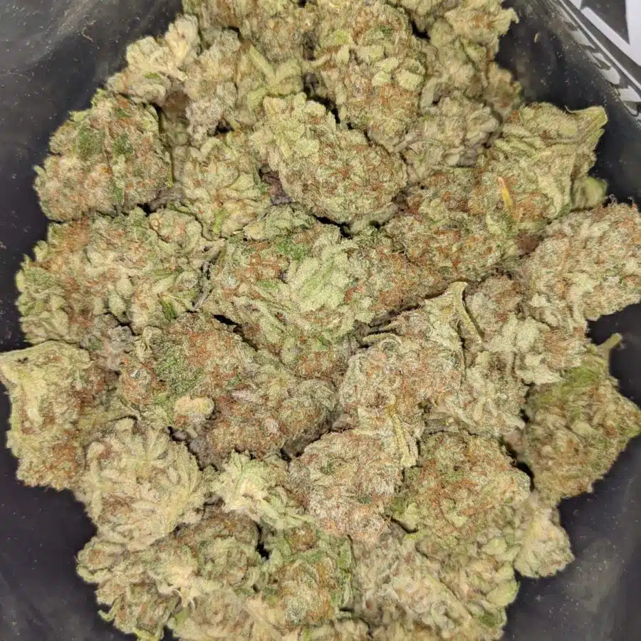 PINEAPPLE CAKE 3 I Pineapple Cake