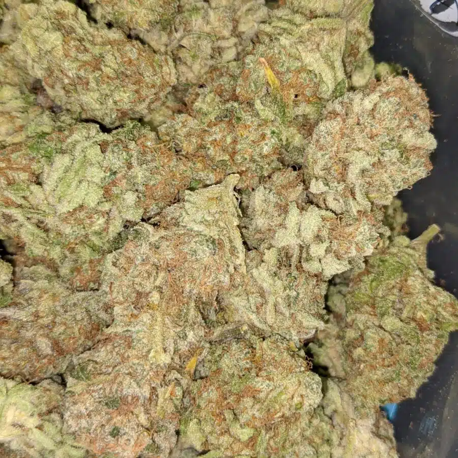 PINEAPPLE CAKE 4 I Pineapple Cake