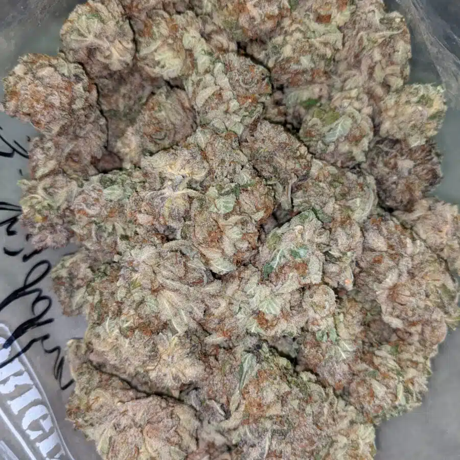 PURPLE BUDDHA 3 I $99 Oz - Purple Buddha