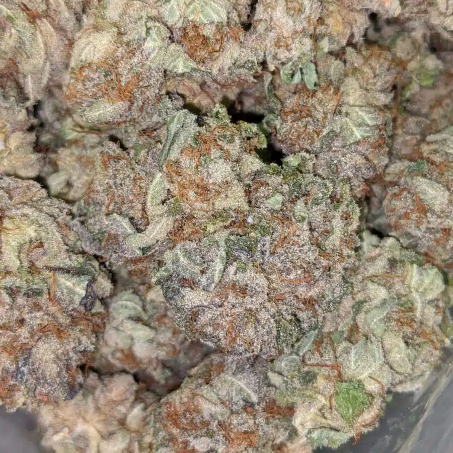 PURPLE BUDDHA 7 I $99 Oz - Purple Buddha