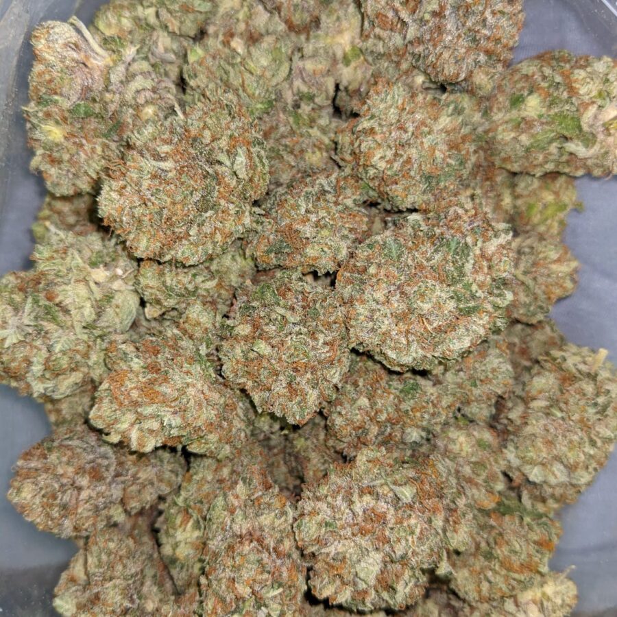 PURPLE CADY AAA 1 rotated I Purple Candy AAA