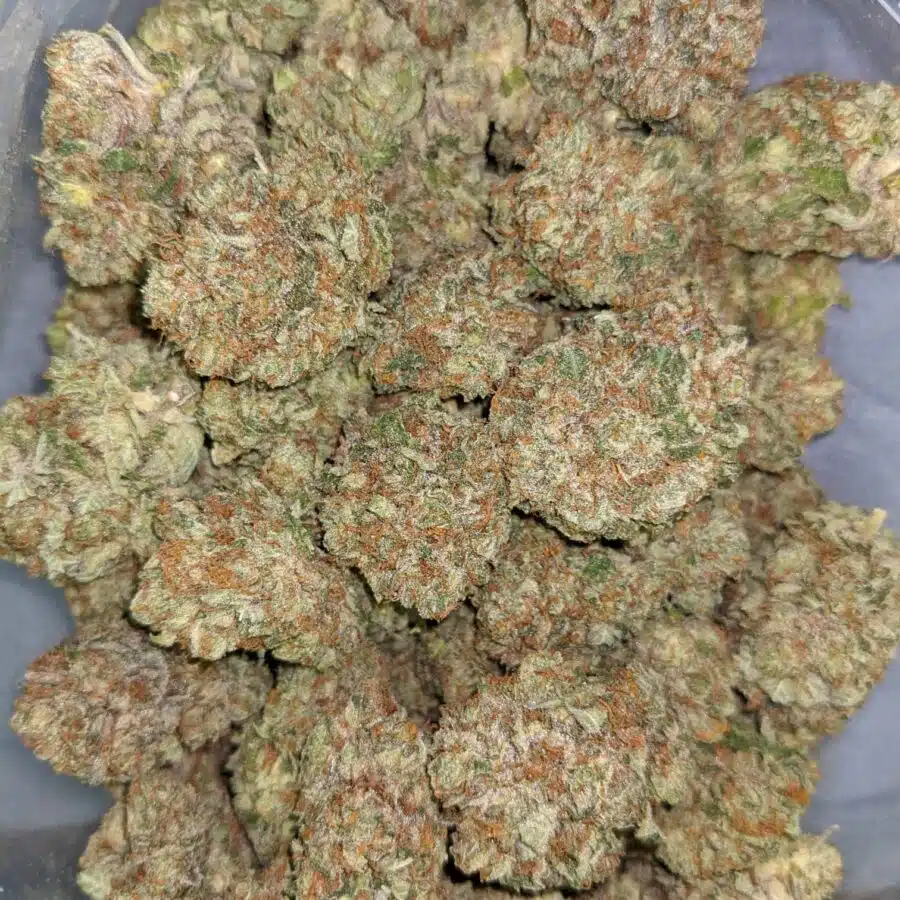 PURPLE CADY AAA 1 rotated I Purple Candy AAA