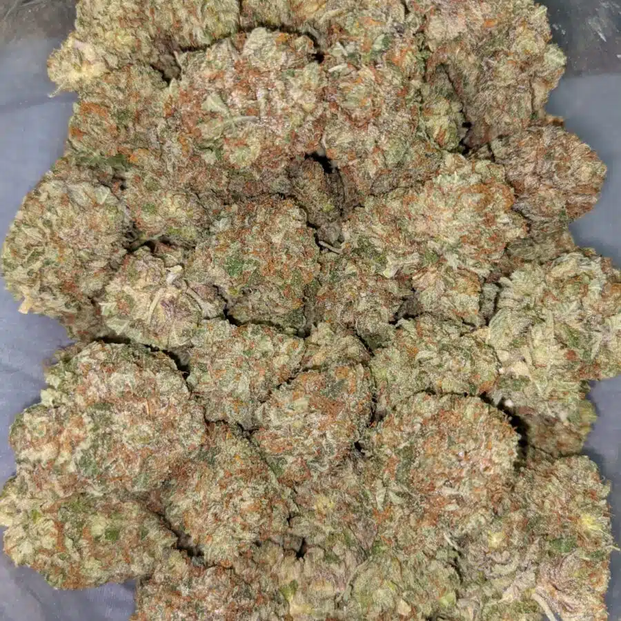 PURPLE CADY AAA 2 I Purple Candy AAA