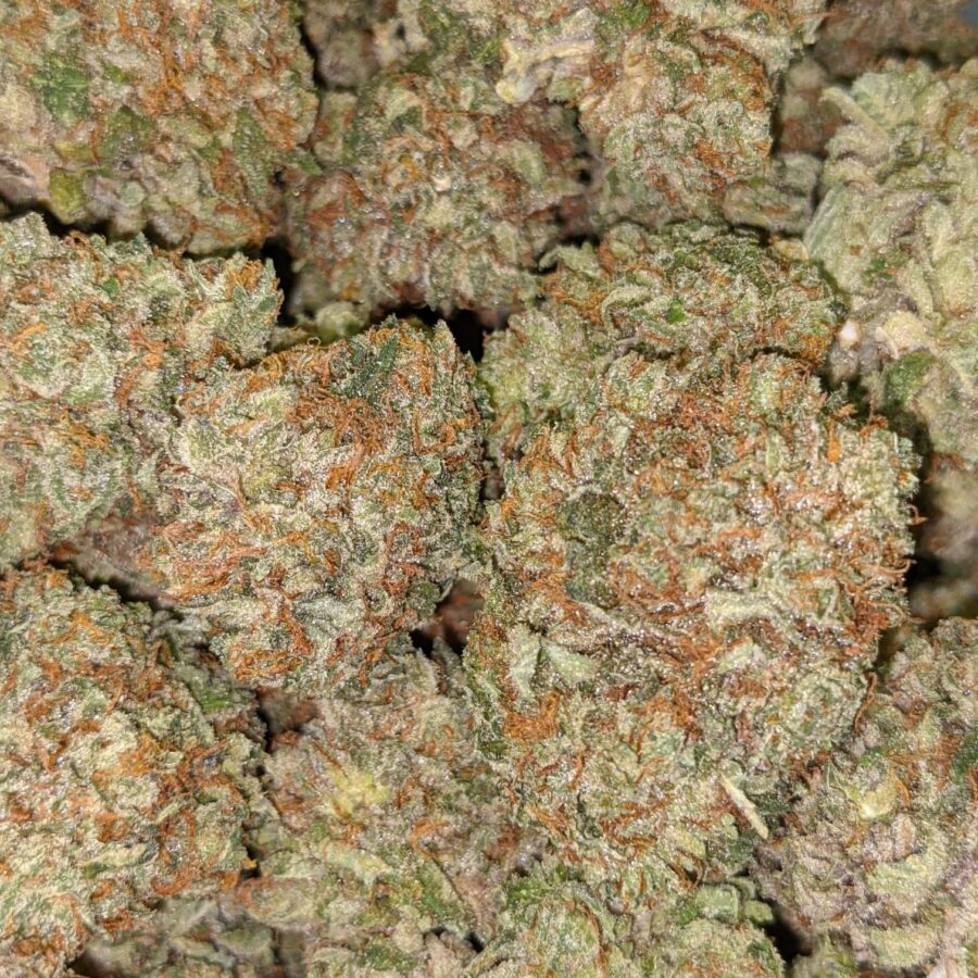 PURPLE CADY AAA 3 I Purple Candy AAA