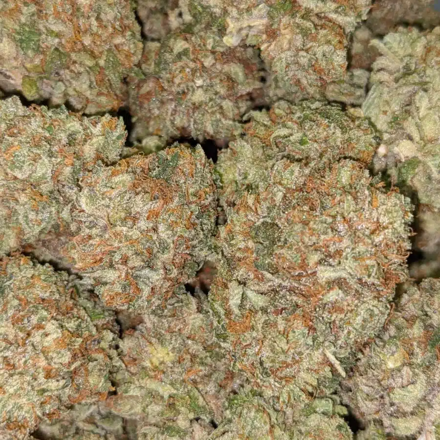 PURPLE CADY AAA 3 I Purple Candy AAA