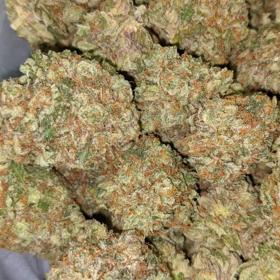 PURPLE CADY AAA 4 I Purple Candy AAA