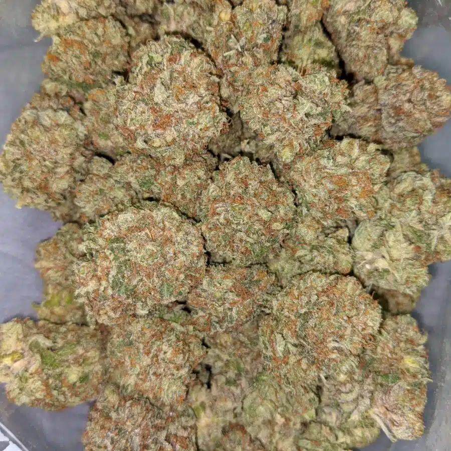 PURPLE CADY AAA 5 I Purple Candy AAA