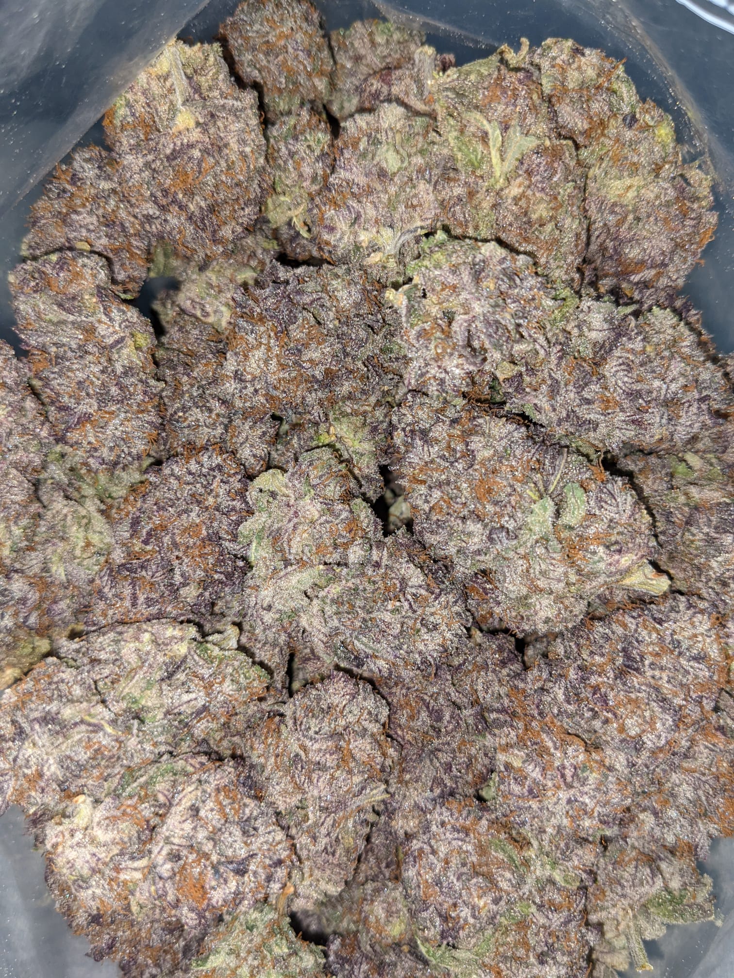 Buy Purple Moonrocks Online Cheap Weed