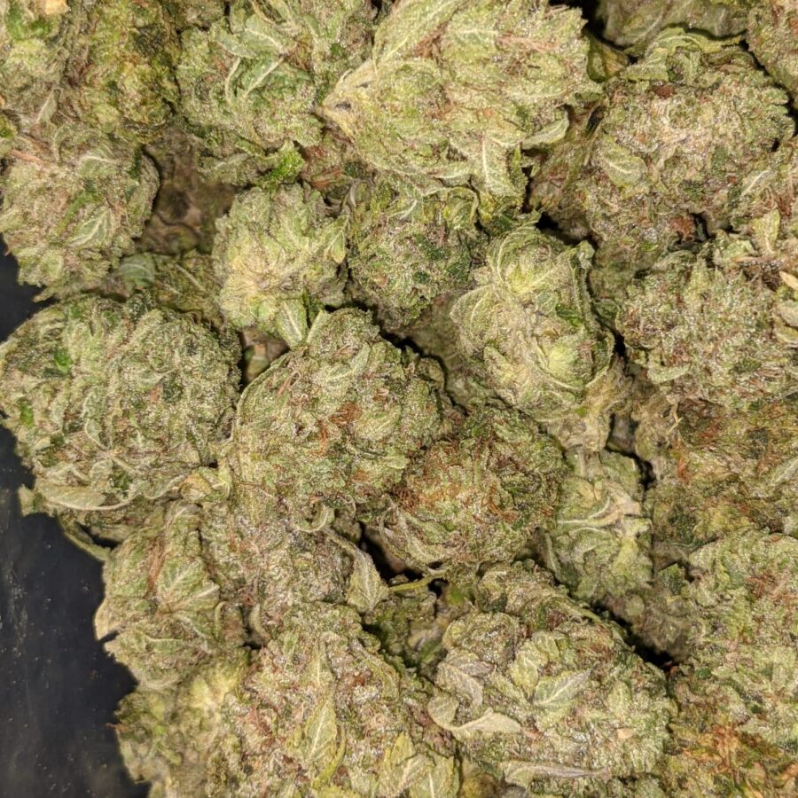 SOUR OG 2 I Sour OG - *Deal of the Day*