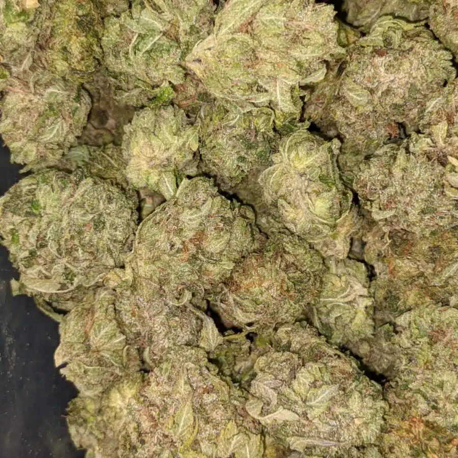 SOUR OG 2 I Sour OG - *Deal of the Day*