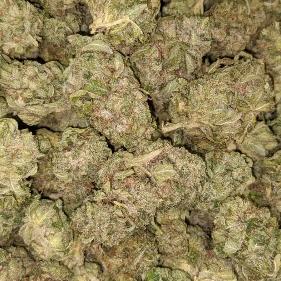 SOUR OG 3 I Sour OG - *Deal of the Day*