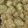 $99 Oz - Sour OG