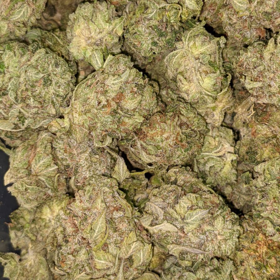 SOUR OG 4 I Sour OG - *Deal of the Day*