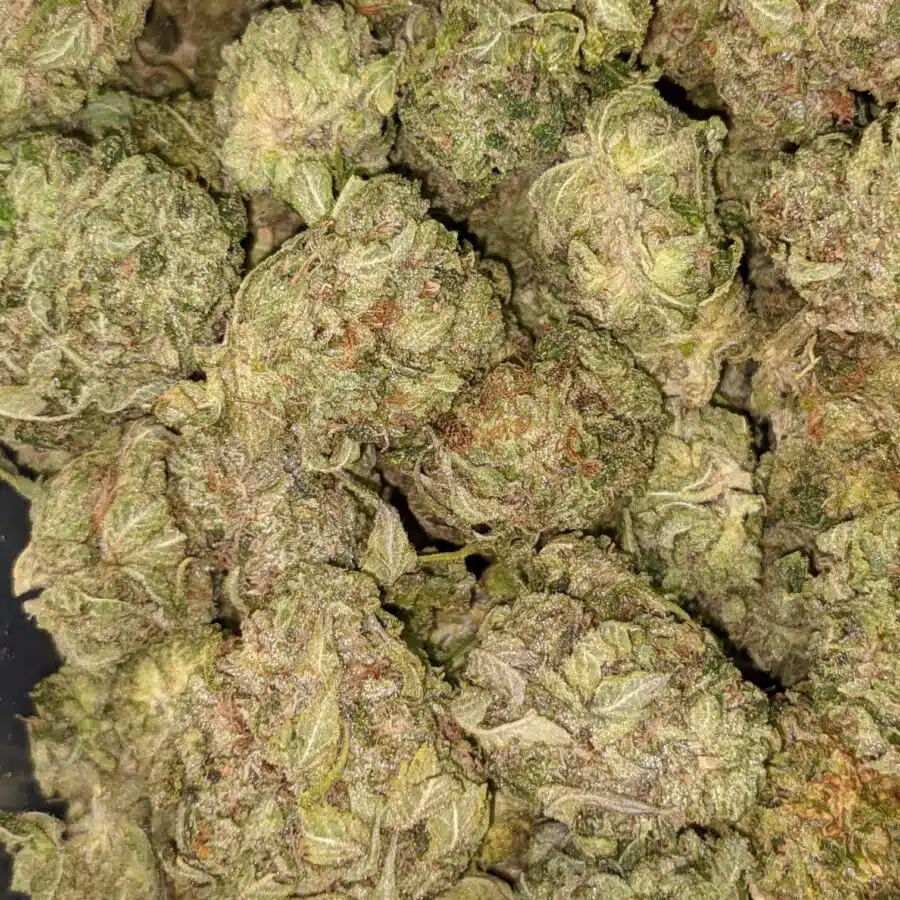 SOUR OG 4 I Sour OG - *Deal of the Day*
