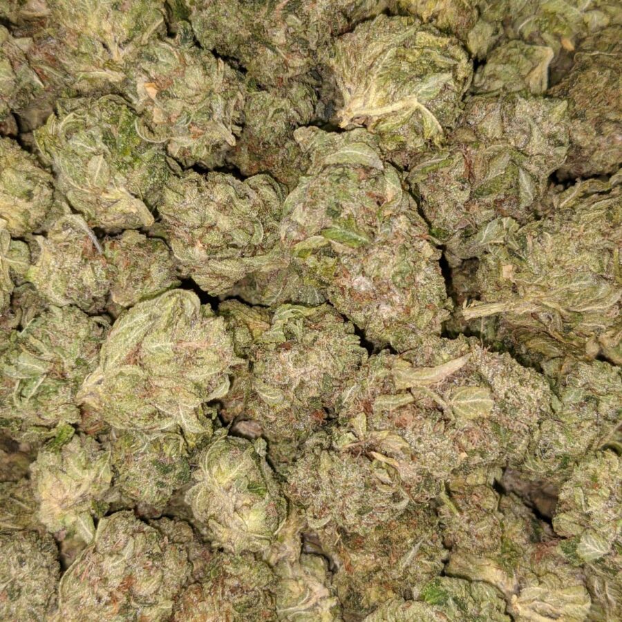 SOUR OG 5 I Sour OG - *Deal of the Day*