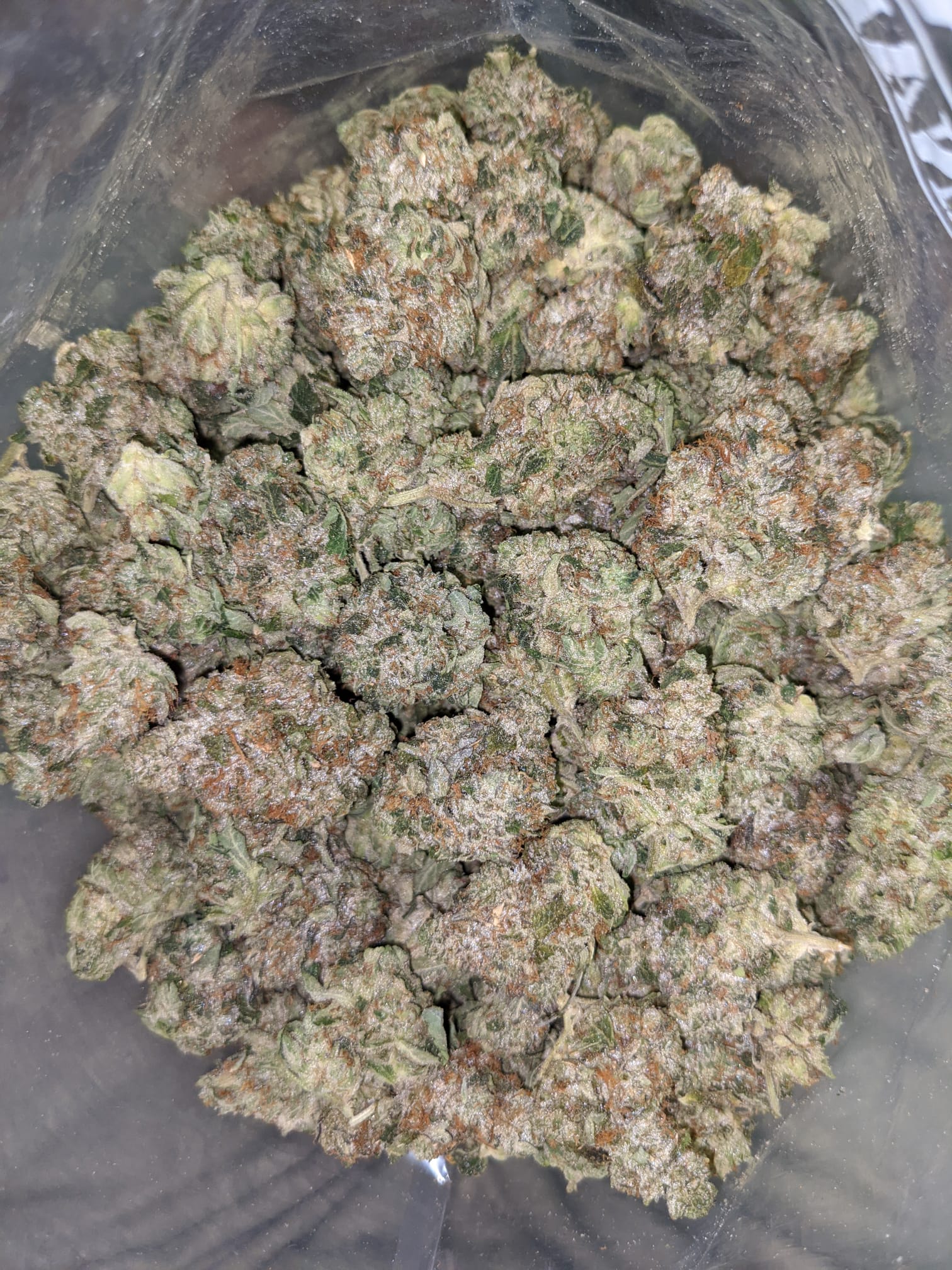 Buy Tootsie Pop 26 58 THC Online Cheap Weed