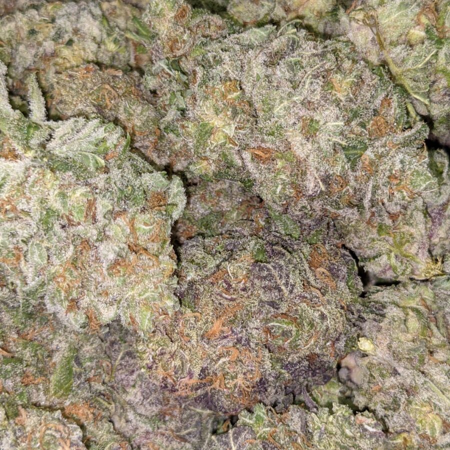 Top Fuel OG - Image 4