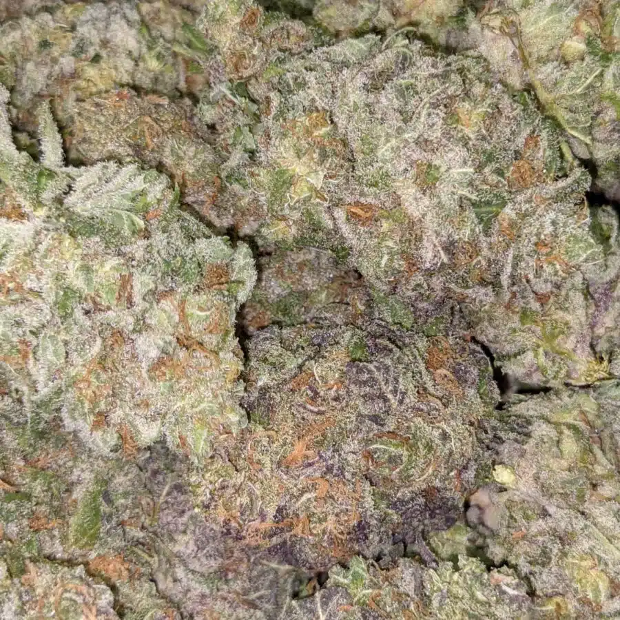 TOP FUEL OG 1 I Top Fuel OG
