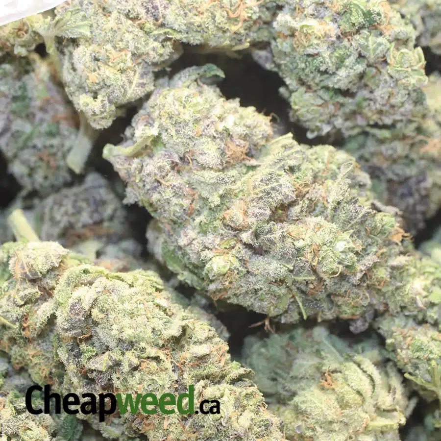 TOP FUEL OG 3 I Top Fuel OG