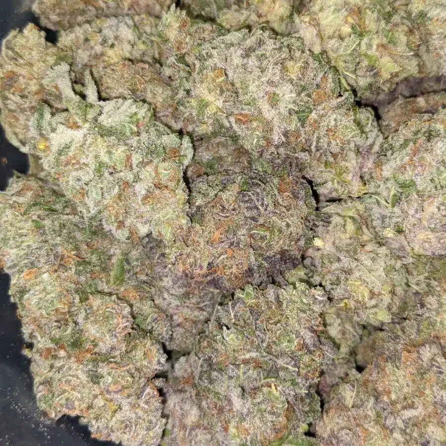 TOP FUEL OG 5 I Top Fuel OG