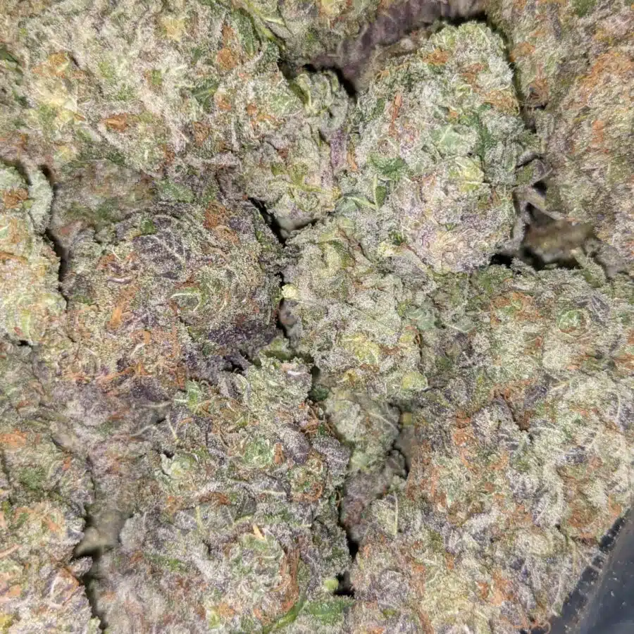 TOP FUEL OG 7 I Top Fuel OG