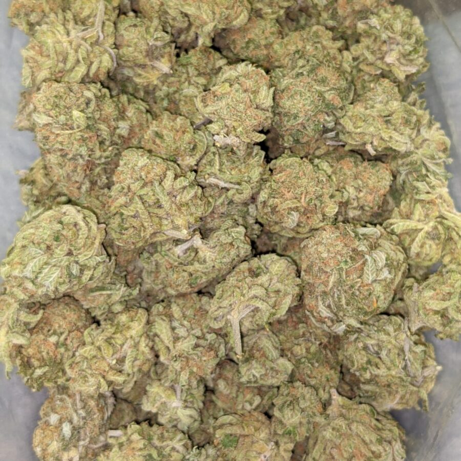 ZOMBIE KUSH AAA 1 I Zombie Kush AAA