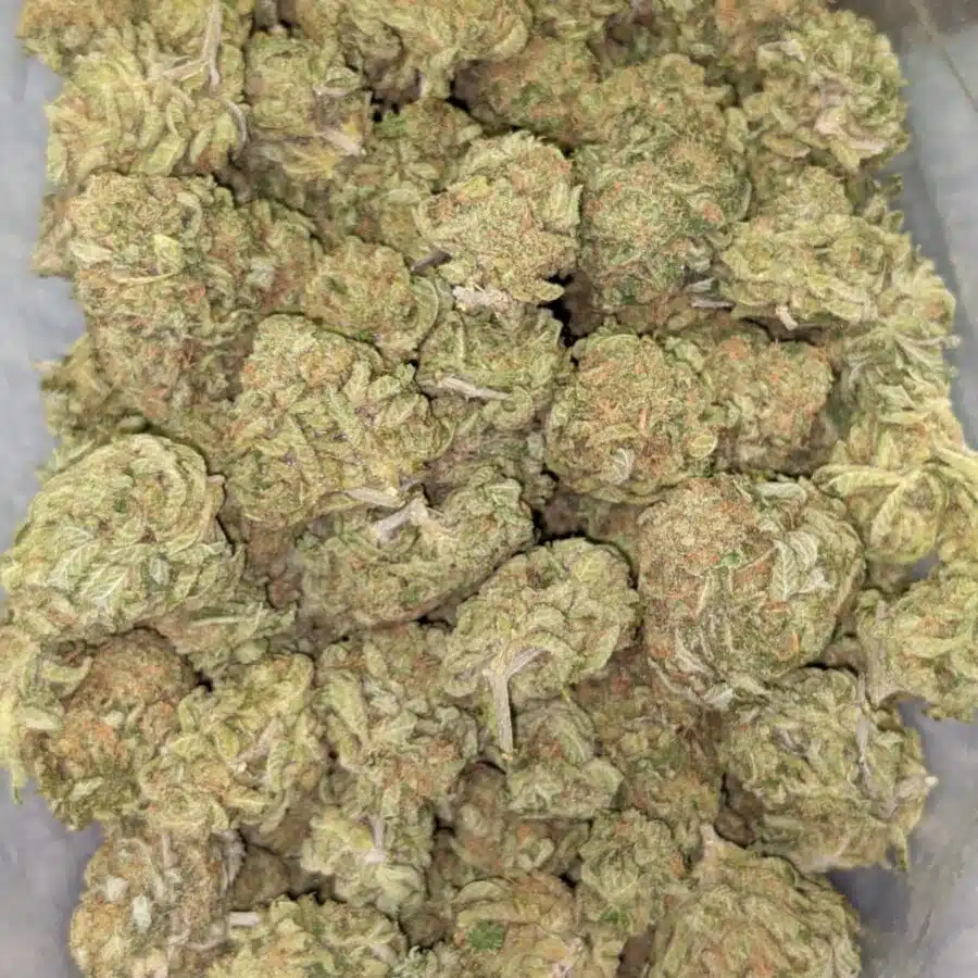 ZOMBIE KUSH AAA 1 I Zombie Kush AAA