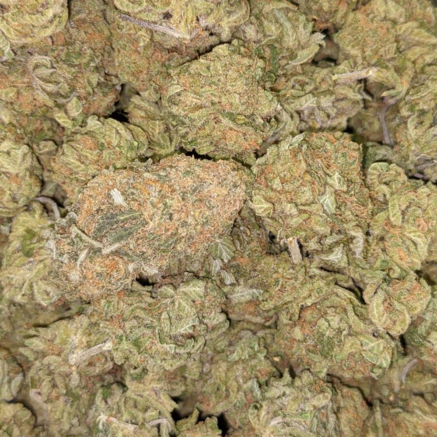ZOMBIE KUSH AAA 2 I Zombie Kush AAA