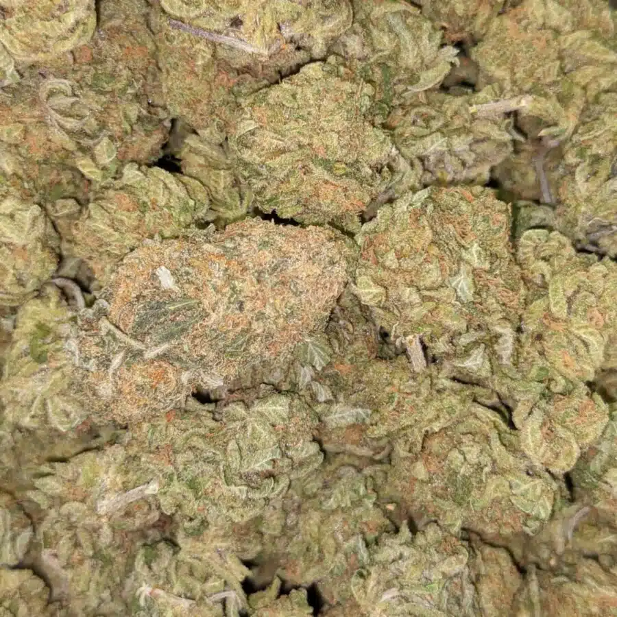 ZOMBIE KUSH AAA 2 I Zombie Kush AAA