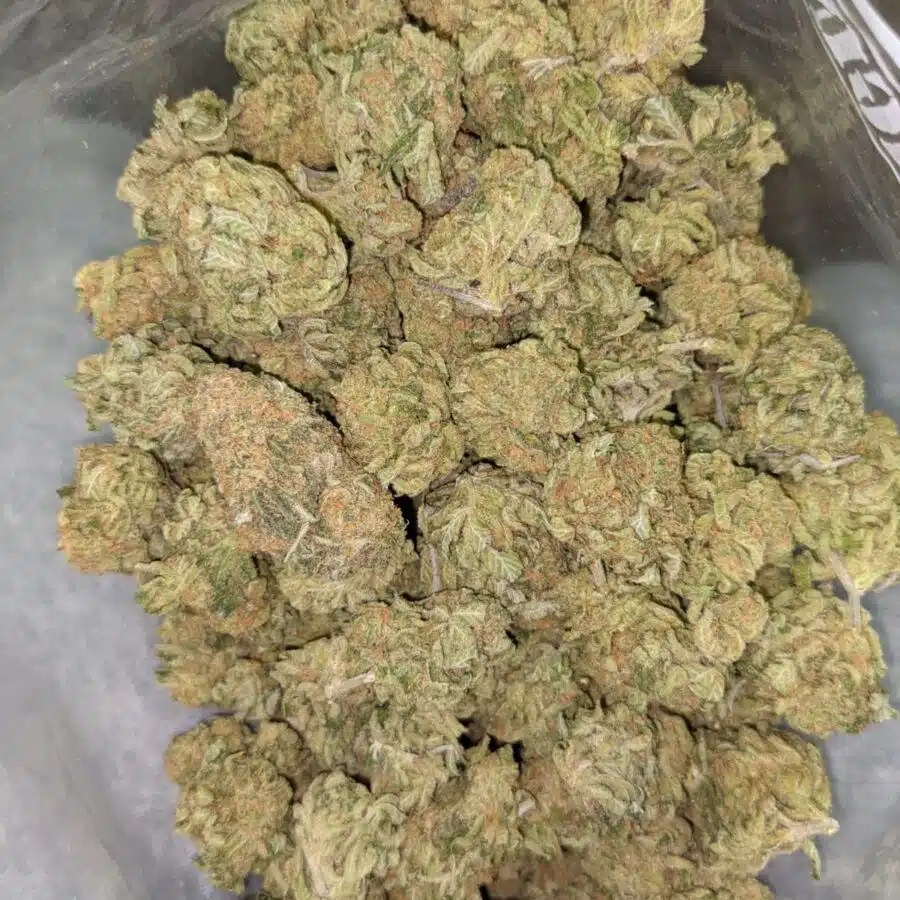 ZOMBIE KUSH AAA 3 I Zombie Kush AAA