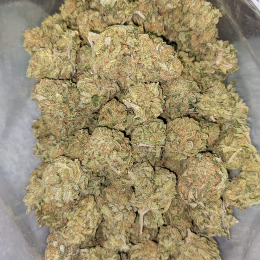 ZOMBIE KUSH AAA 4 I Zombie Kush AAA