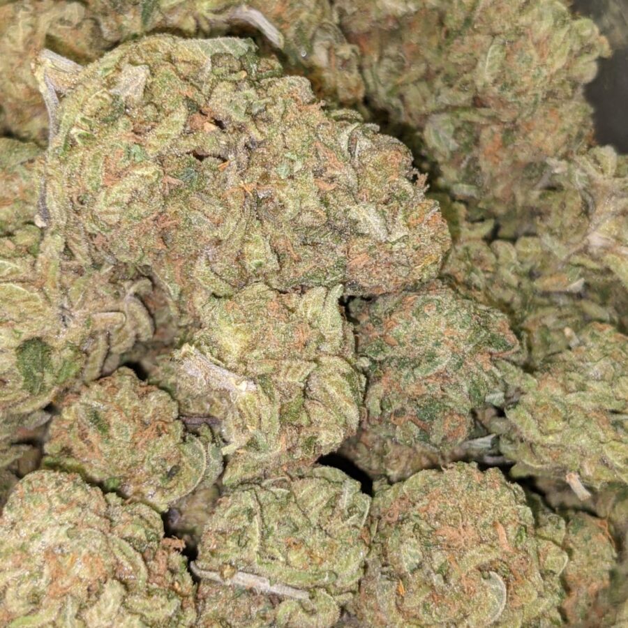 ZOMBIE KUSH AAA 5 I Zombie Kush AAA